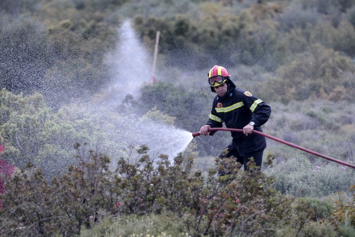 Μεγάλη φωτιά στα Βασιλικά 